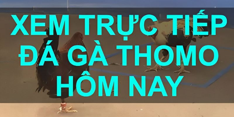 Top 3 nền tảng được yêu thích tại Việt Nam